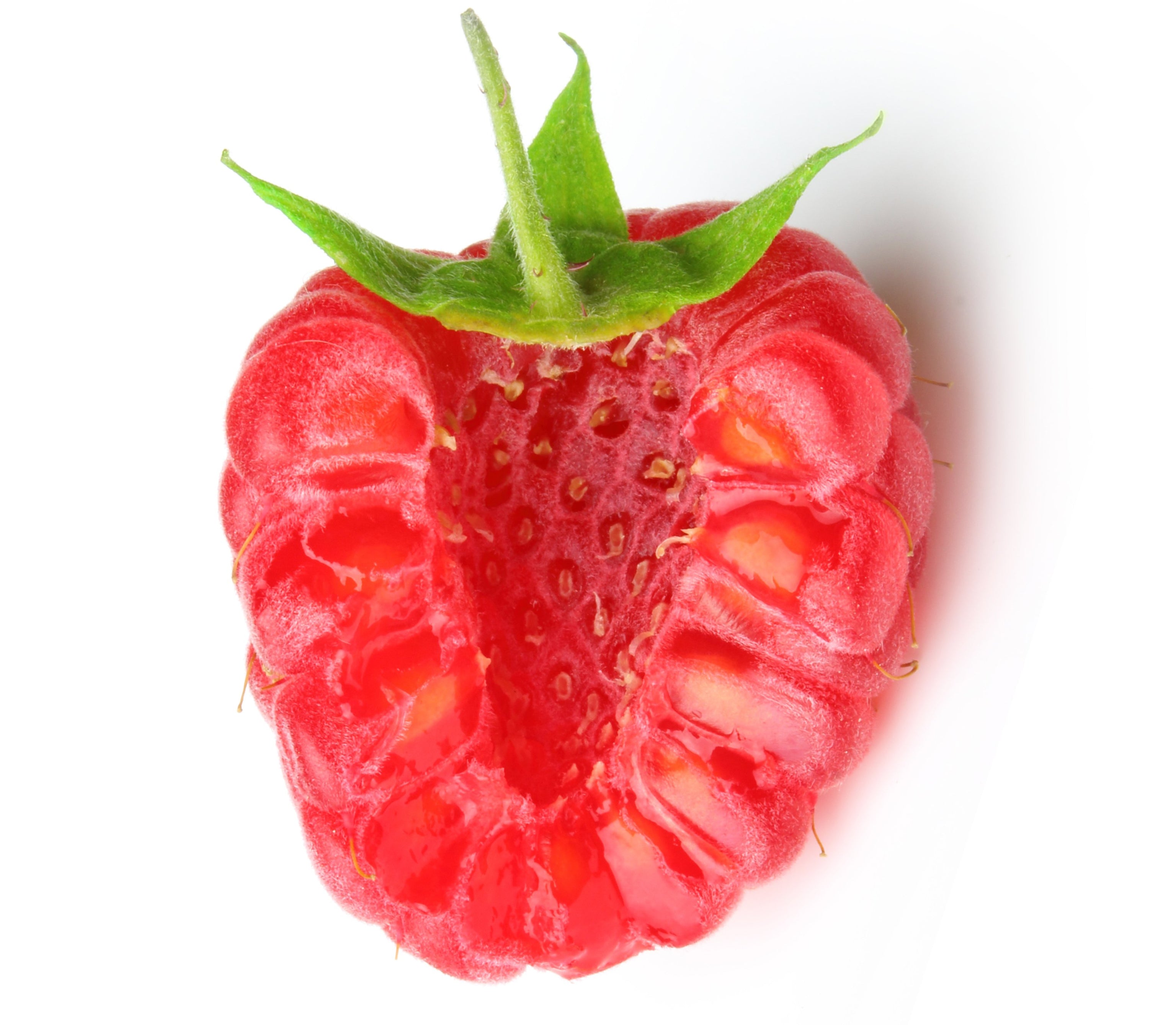 Fructose Cosmetics